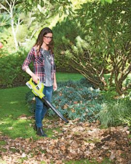 Cordless Leaf Blower